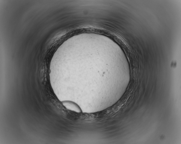 X0000099501111200806121409