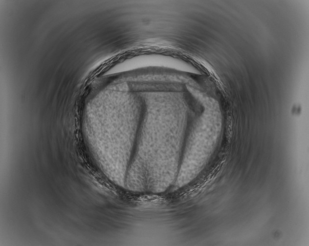 X0000099501112200806121409