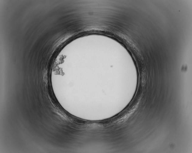 X0000099501113200806121409