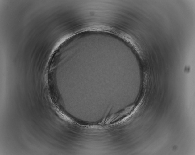 X0000099501114200806121409