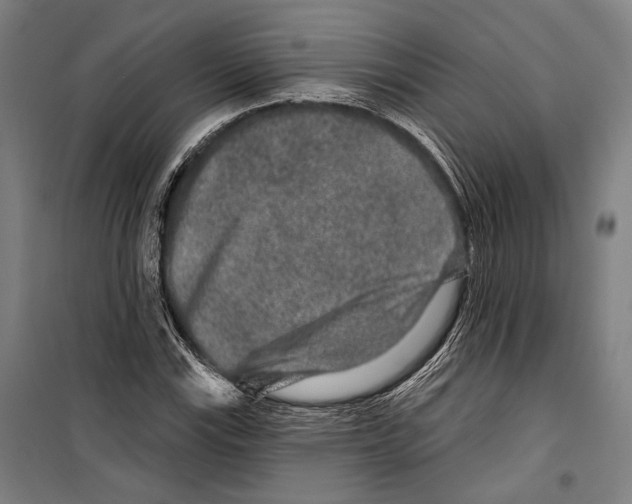 X0000099501115200806121409