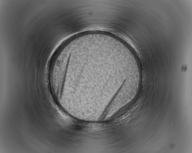 X0000099501116200806121409