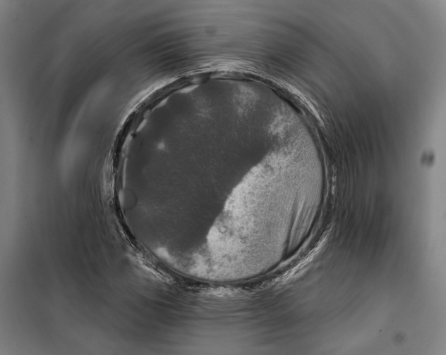 X0000099501117200806121409