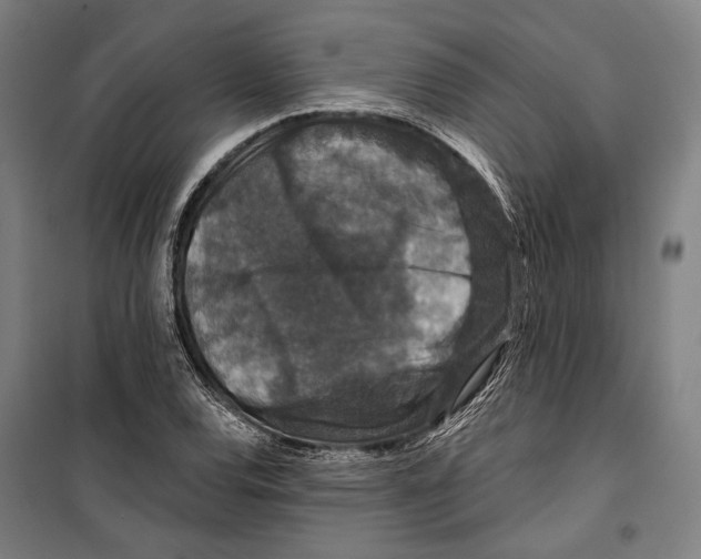 X0000099501120200806121409