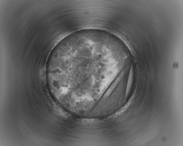 X0000099501121200806121409