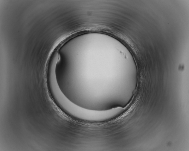 X0000099501122200806121409