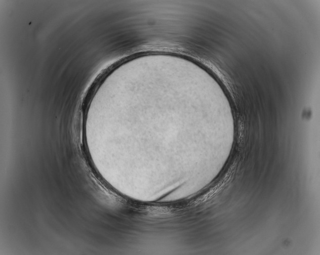 X0000099501123200806121409