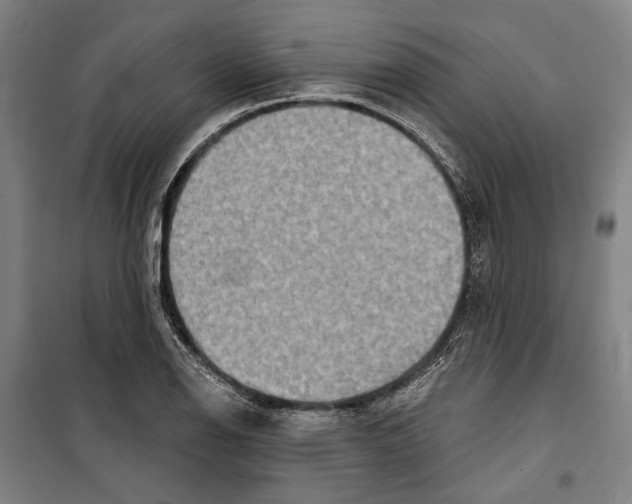 X0000099501126200806121409