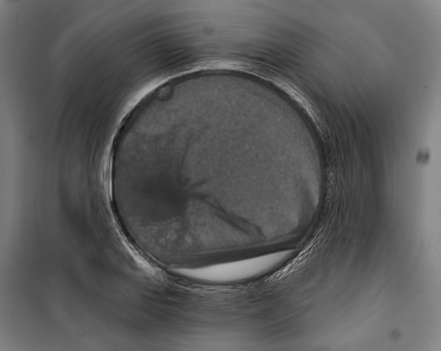 X0000099501127200806121409