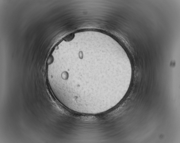 X0000099501129200806121409