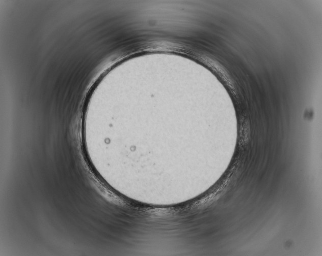 X0000099501130200806121409