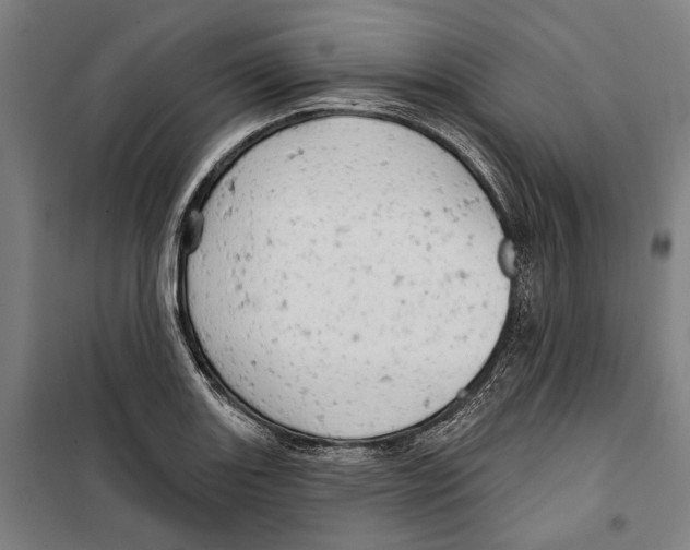 X0000099501131200806121409