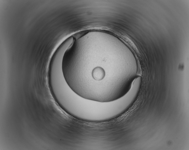 X0000099501132200806121409