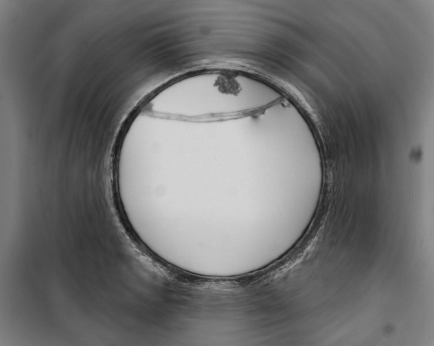 X0000099501133200806121409