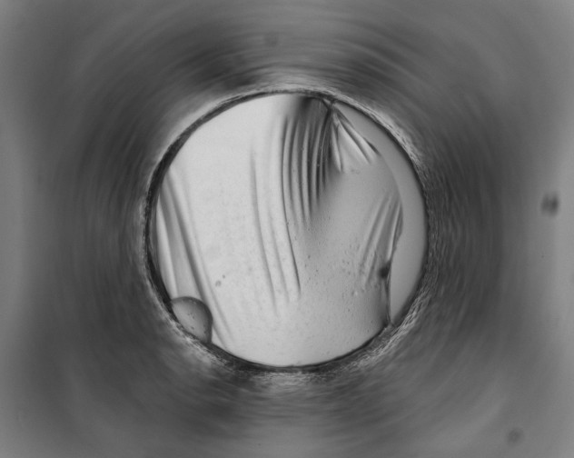 X0000099501134200806121409