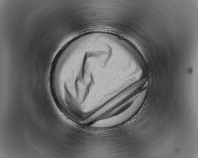 X0000099501139200806121409