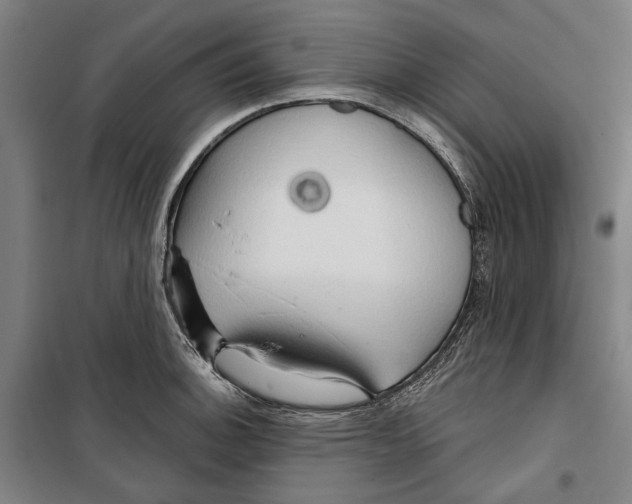 X0000099501140200806121409