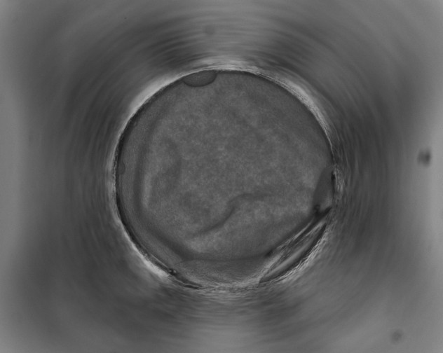 X0000099501141200806121409