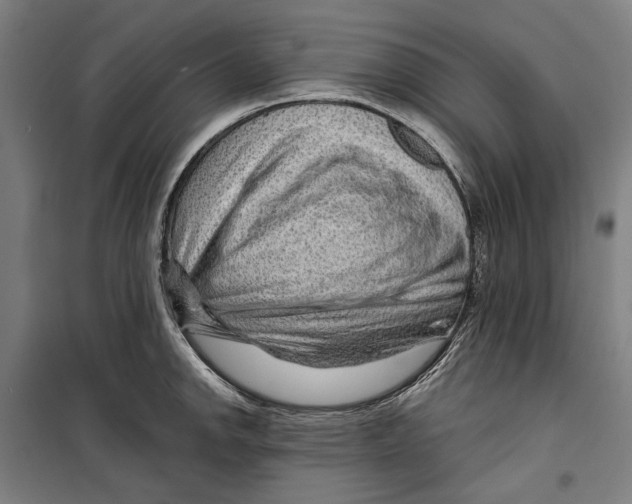 X0000099501142200806121409