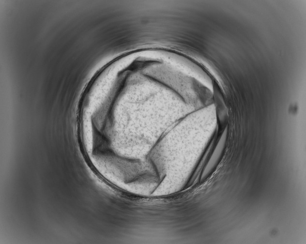 X0000099501143200806121409