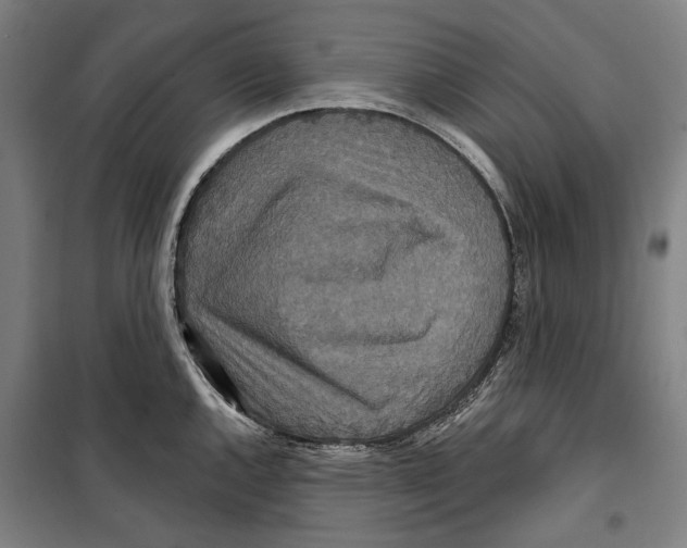 X0000099501144200806121409