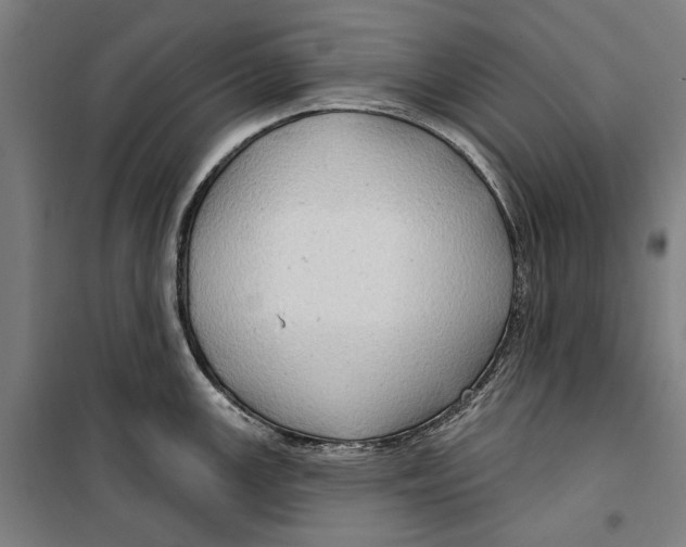 X0000099501147200806121409