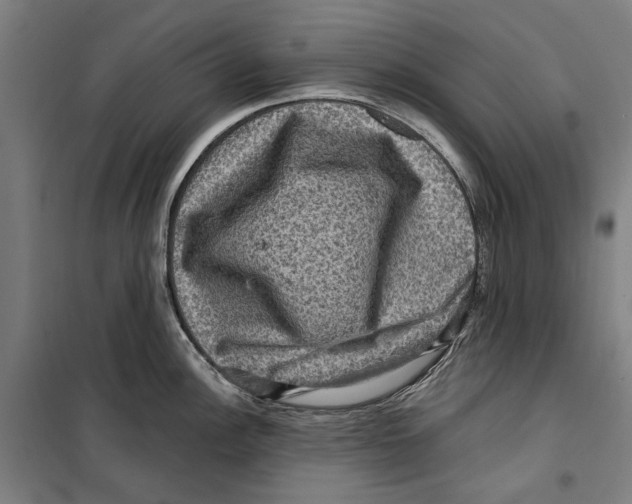 X0000099501148200806121409