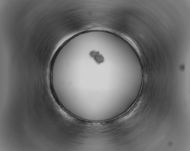 X0000099501149200806121409