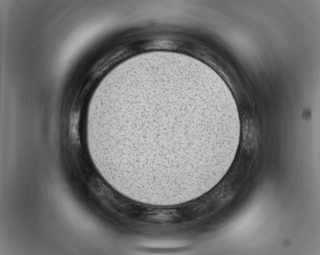 X0000099501150200806121409