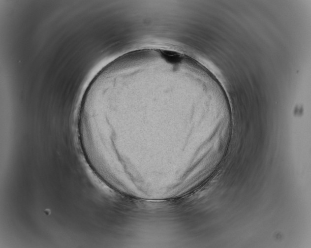 X0000099501152200806121409