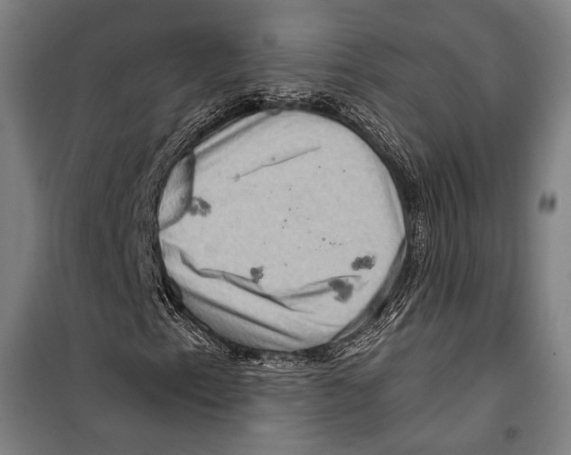 X0000099501153200806121409