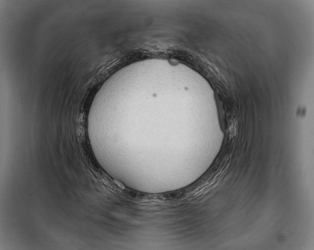 X0000099501156200806121409