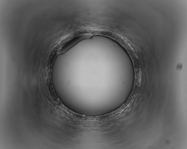 X0000099501157200806121409