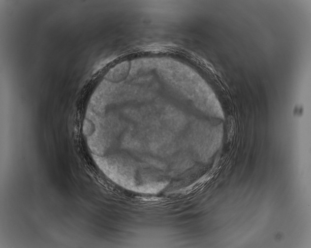 X0000099501158200806121409