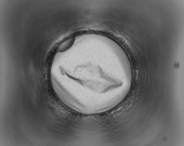 X0000099501159200806121409