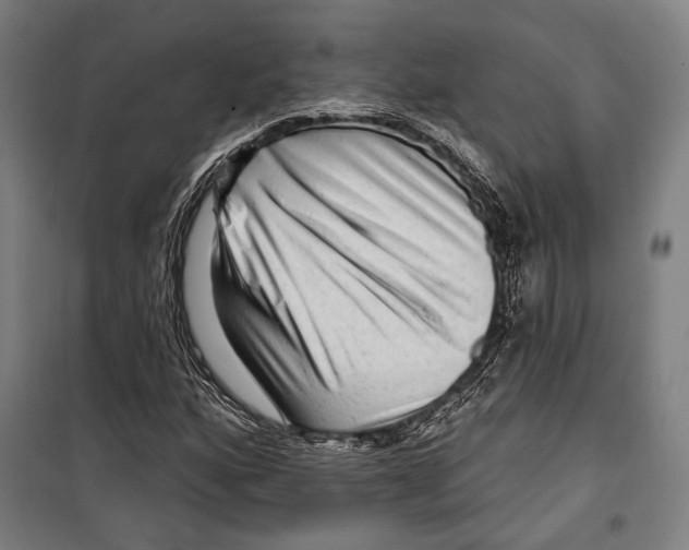 X0000099501160200806121409