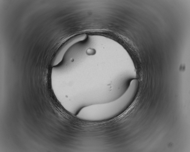 X0000099501161200806121409