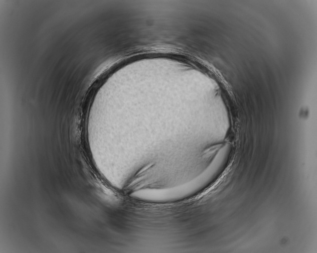 X0000099501163200806121408