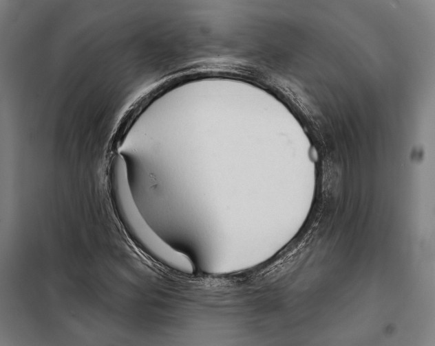 X0000099501164200806121408