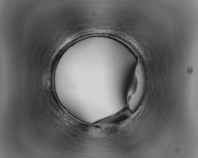 X0000099501165200806121408