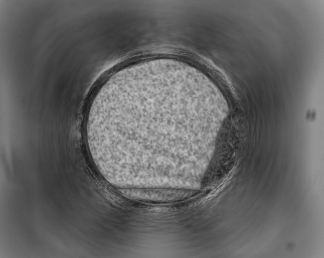 X0000099501166200806121408