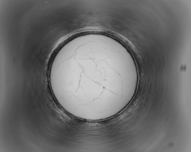 X0000099501168200806121408