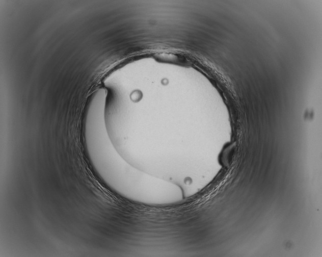 X0000099501169200806121408