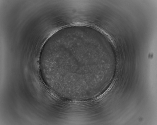 X0000099501170200806121408