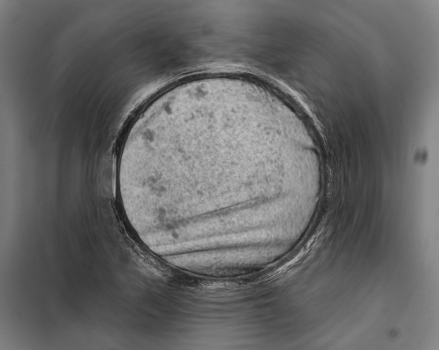 X0000099501171200806121408