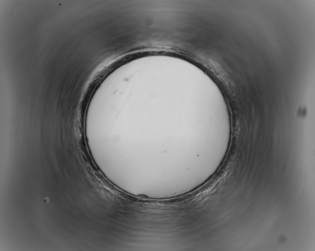 X0000099501172200806121408