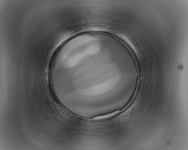 X0000099501173200806121408