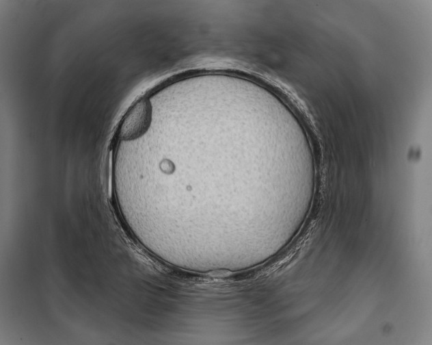 X0000099501175200806121408