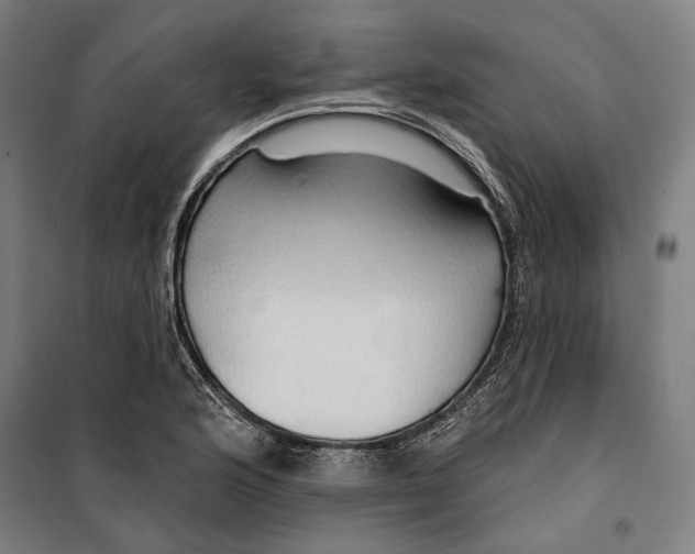 X0000099501176200806121408