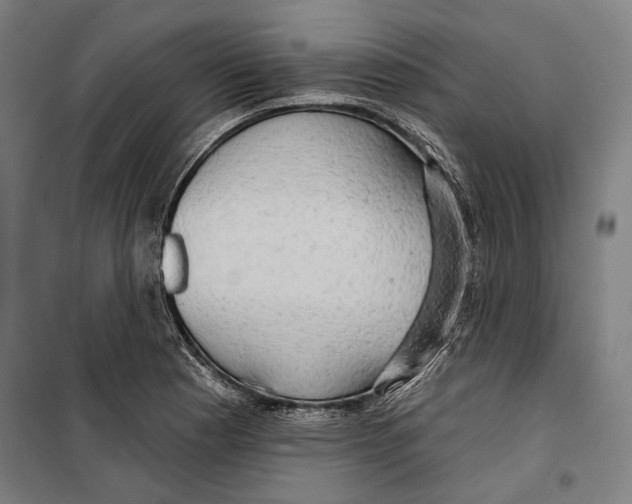 X0000099501177200806121408